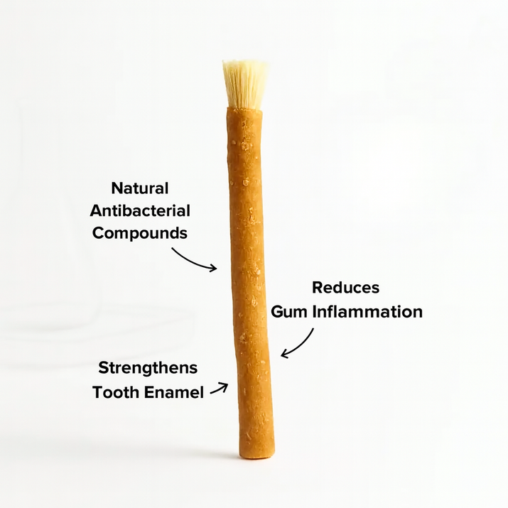 The Miswak